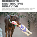 Outward Hound Squawkers Earl Latex Rubber Chicken Interactive Toy For Dog (Large)