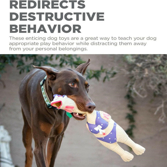 Outward Hound Squawkers Henrietta Latex Rubber Chicken Interactive Toy For Dog (Large)
