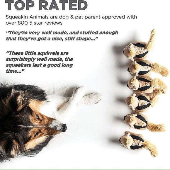 Outward Hound Squeakin Animals Squirrel Brown Dog Toy (3 pack)