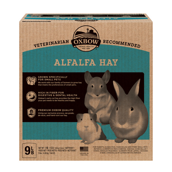 Oxbow Alfalfa Hay - 9 lb - Small Pet Food 9