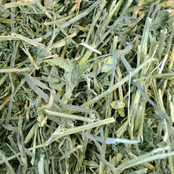 Oxbow Animal Health Alfalfa Hay Food For Pets (15 oz)