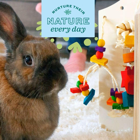 Oxbow Enriched Life Color Play Dangly Toy For Small Animals