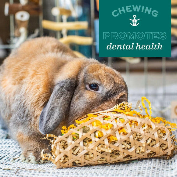 Oxbow Enriched Life Crazy Hay Ball Toy For Small Animal