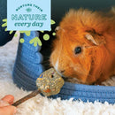 Oxbow Enriched Life Crazy Hay Ball Toy For Small Animal