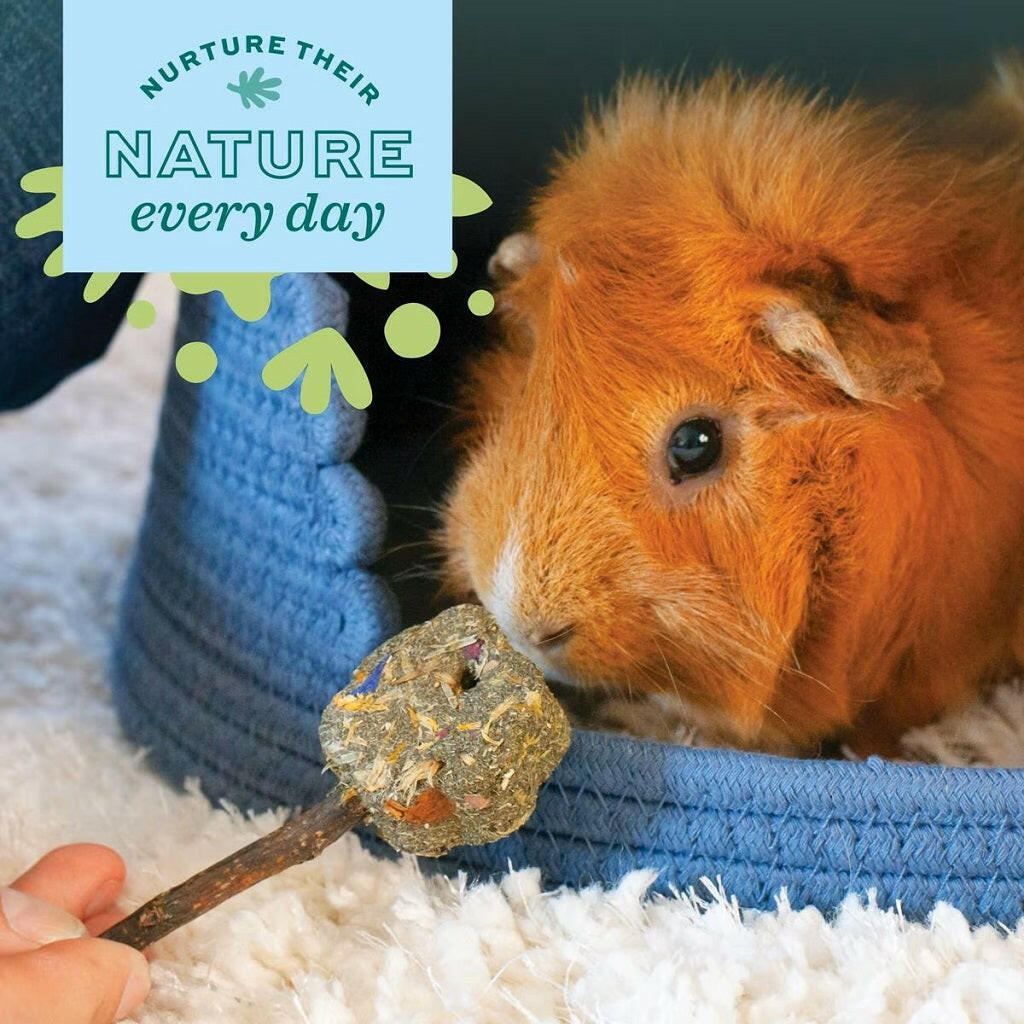 Oxbow Safe Oxbow's Natural Kabob: Safe Chew Toy for Small Animals