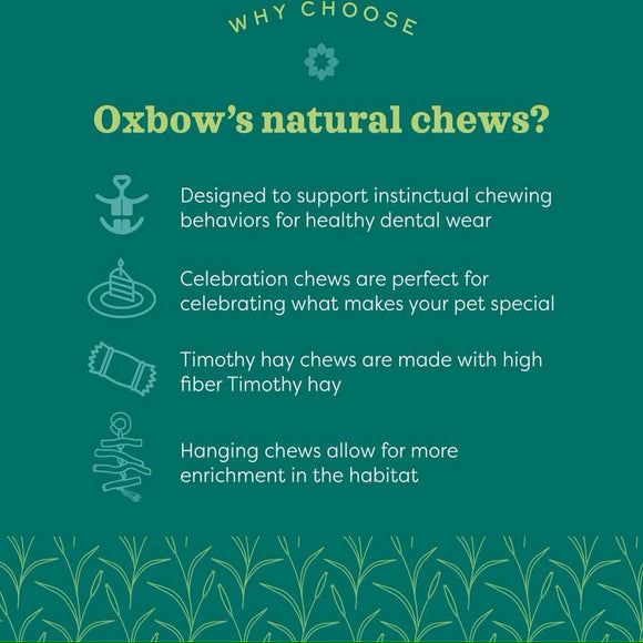 Oxbow Enriched Life Natural Woven Dangly Toy For Small Animal