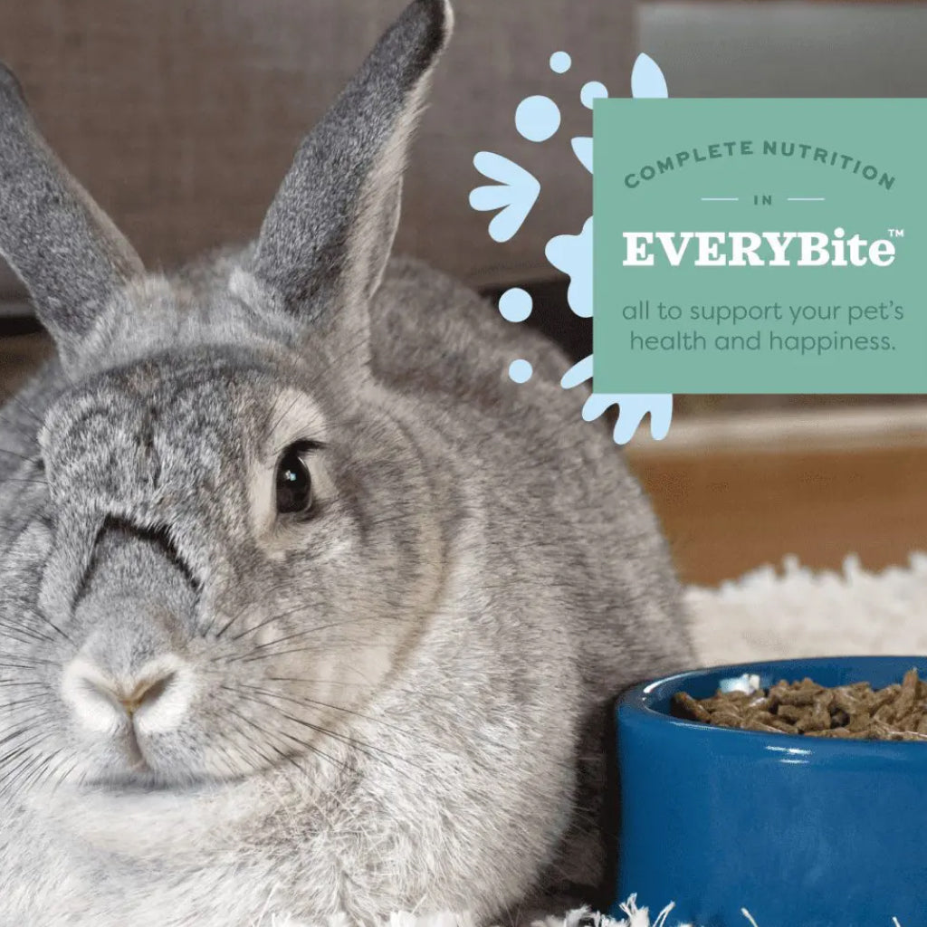 Oxbow Essentials Senior Rabbit Food Pellets