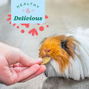 Oxbow Animal Health Natural Science - Digestive Support for Small Animals