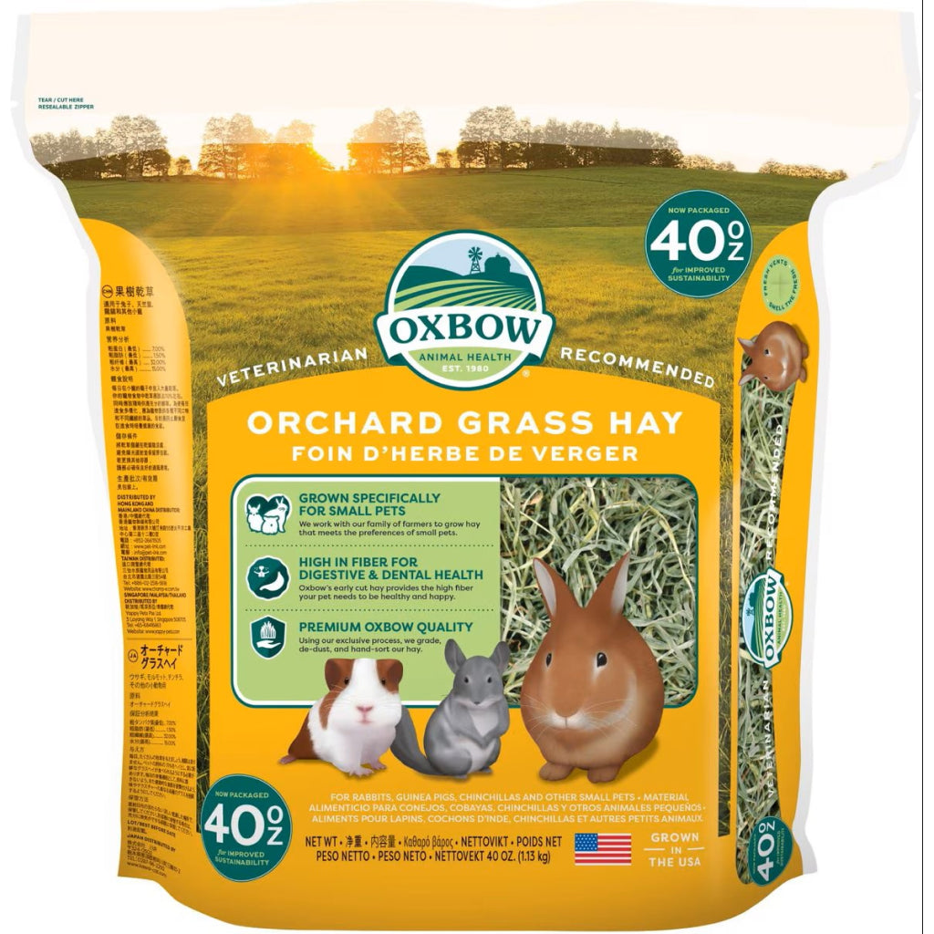 Oxbow Orchard Grass Hay for Small Pets