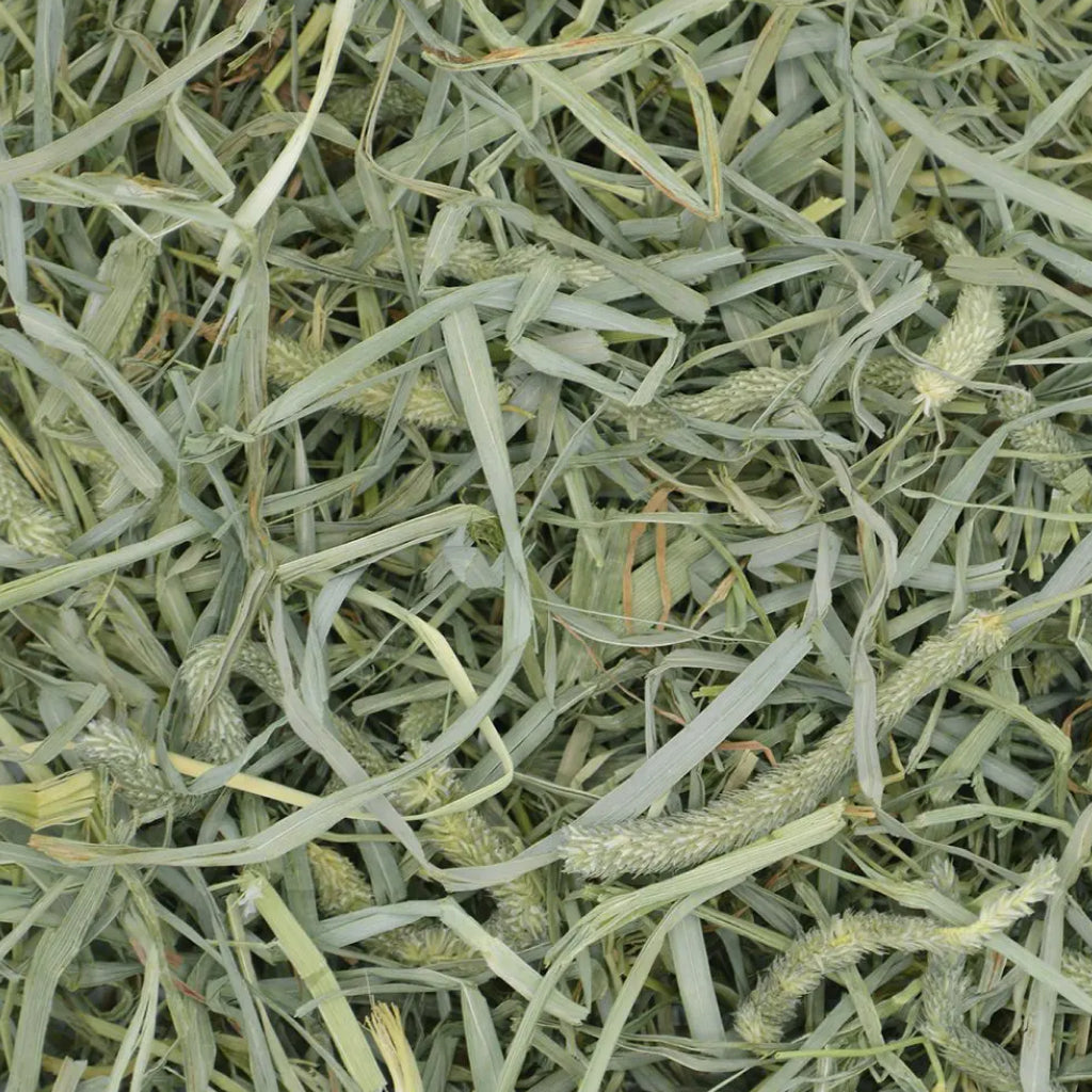 Oxbow Prime Cut Hearty & Crunchy Timothy Hay