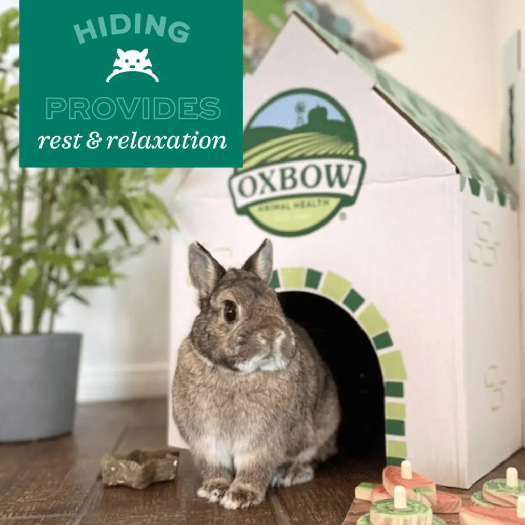 Oxbow Safe Oxbow Timothy Club Bungalow – Safe, Edible Hideaway for Small Pets