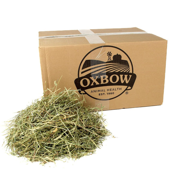 Oxbow Animal Health Western Timothy Hay - 25 -lb - Small Animal Food 9