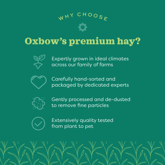 Oxbow Animal Health Western Timothy Hay