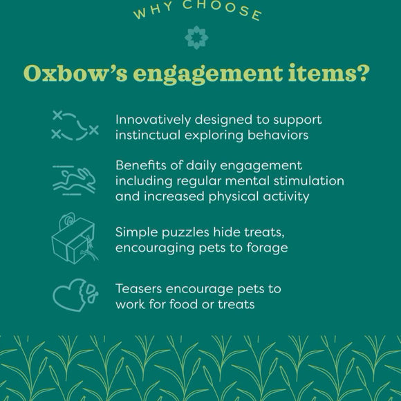 Oxbow Enriched Life –Small Animal Play Wall - Small