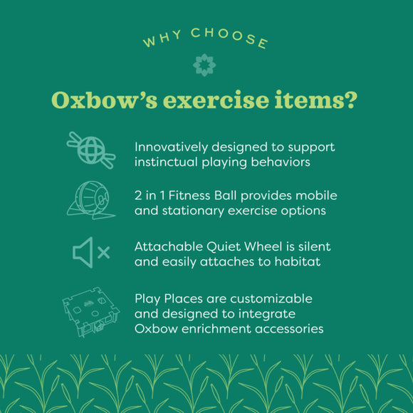 Oxbow Enriched Life Run & Hide Small Animals Toys