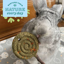 Oxbow Enriched Life Timothy Hay Apple Lollipop Treat for Small Animals