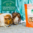 Oxbow Natural Science - Vitamin C Supplement For Small Animals (60 ct)