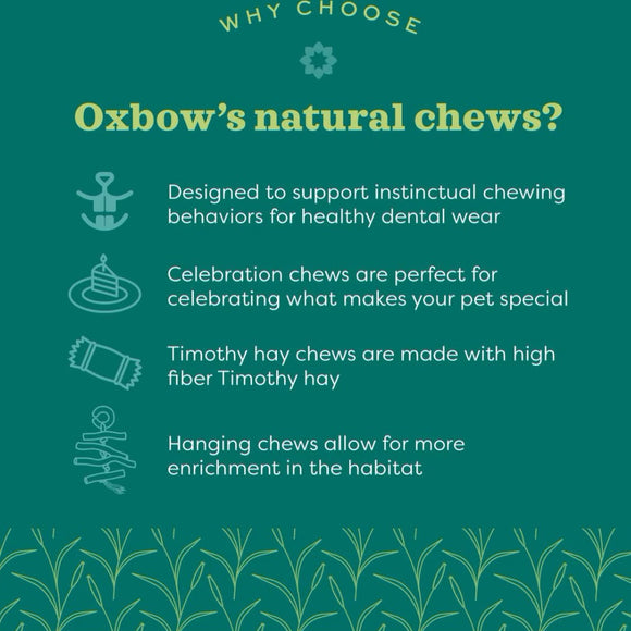 Oxbow Enriched Life Maraca Chew Toy For Small Animals