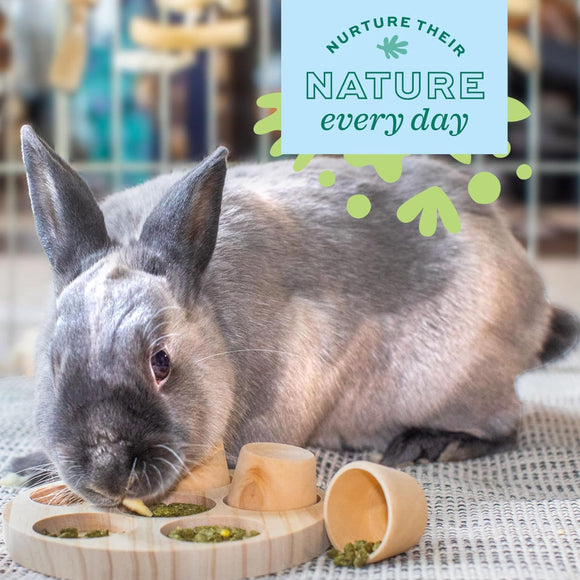 Oxbow Hide and Seek Mat For Small Animals - Small