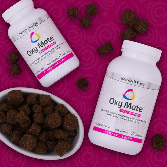 Oxy Mate Soft Chews -Prenatal Vitamins For Small Dogs & Cats - Pet Vitamins & Supplements 5
