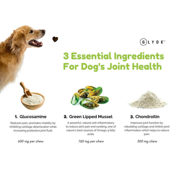 Parnell Glyde Mobility Chews for Dogs (120 soft chews)