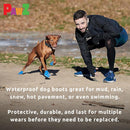 Pawz Boots For Dog (Tiny)