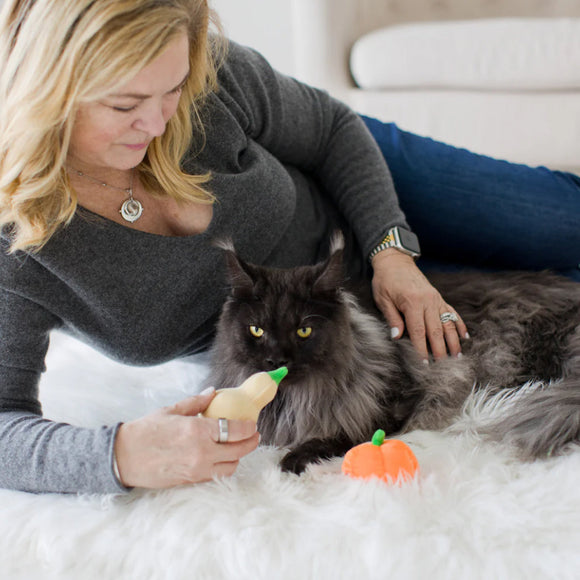 Pearhead Oh My Gourd Toys For Cat (2 pack)
