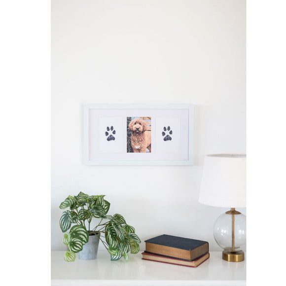 Framed photo of a dog with paw prints on a shelf with a plant and lamp.