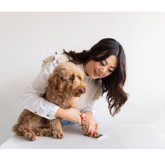 Woman petting a small brown dog on a white surface