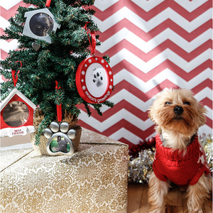 Pearhead Pawprints Double Sided Photo Ornament Holiday Keepsake for Pets & Owners - Clothing & Accessories 2