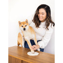Woman with a Shiba Inu dog on a wooden table
