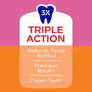Pedigree Dentastix Dual Flavored Bacon & Chicken Flavored Large Dental Dog Treats triple action