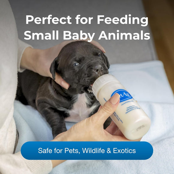 Pet-Ag Nursing Kit - Small Animal Food 3