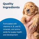 Pet-Ag PetLac Milk Replacement Powder for All Pets (10.5 oz)