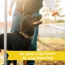 Pet Botanics Training Rewards Soft & Chewy Bacon Flavor Large Bites (1.25 lb) - Training Dog Treats 7