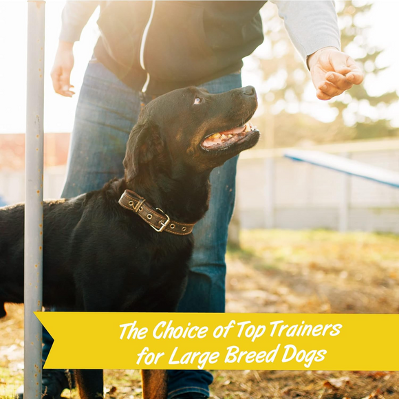 Pet Botanics Training Rewards Soft & Chewy Bacon Flavor Large Bites (1.25 lb) - Training Dog Treats 7