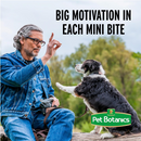 Pet Botanics Training Rewards Soft & Chewy Bacon Flavor Dog Treats (20 oz) - Dog Training & Behavior 5