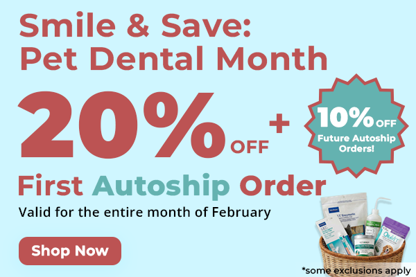 Pet dental month 650x400