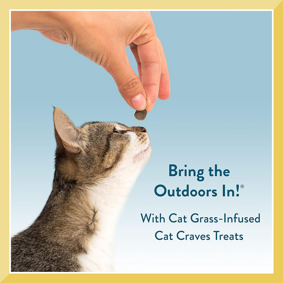 Pet Greens Cat Craves Semi-Moist Chicken Soft Treats For Cats (3 oz) - Cat Treats 3