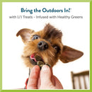 Pet Greens Li'l Treats Lamb Soft Mini Dog Treats