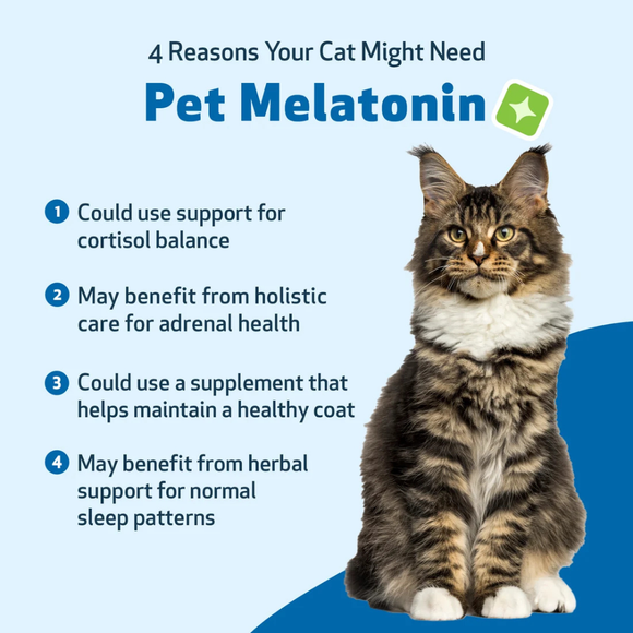 Pet Melatonin for Cats (2 oz) - Cat Health Care & Wellness 10