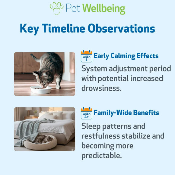 Pet Melatonin for Cats (2 oz) - Cat Health Care & Wellness 9