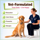 Pet Naturals Allergy + Calming Supplement Chews for Dogs (60 count) - Dog Calming & Anxiety Supplements 5