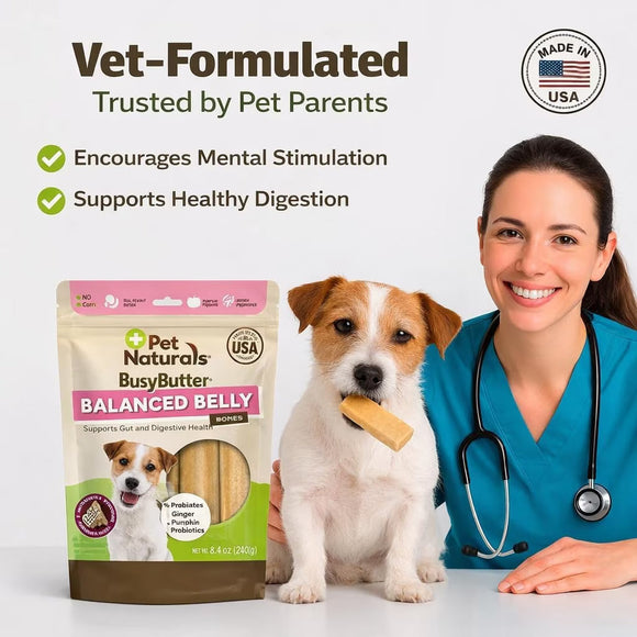Pet Naturals Balanced Belly Bones Peanut Butter Filled for Dogs 13-oz - Pet Vitamins & Supplements 3