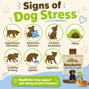 Pet Naturals BusyButter Calming Peanut Butter for Dogs (1.5 oz x 6 pouches) - Dog Calming & Anxiety Supplements 6