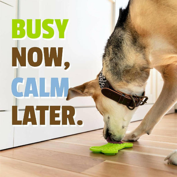 Pet Naturals BusyButter Calming Peanut Butter for Dogs (6 oz)