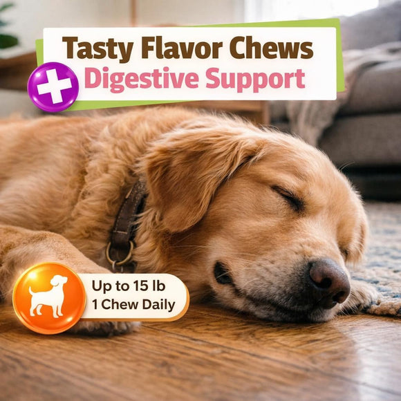 Pet Naturals Calming Chews for Dogs (30 count) - Dog Calming & Anxiety Supplements 4