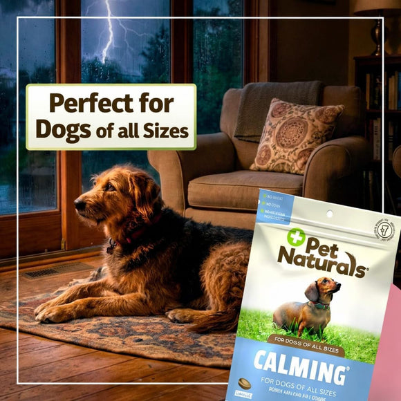 Pet Naturals Calming Chews for Dogs (30 count) - Dog Calming & Anxiety Supplements 7