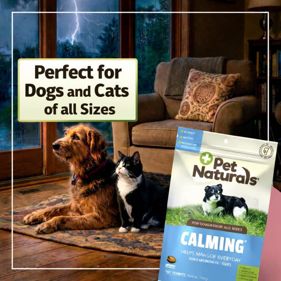 Pet Naturals Calming Chews for Dogs & Cats (160 count) - Dog Calming & Anxiety Supplements 4