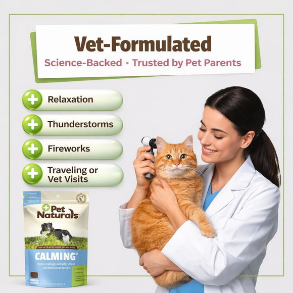Pet Naturals Calming Chews for Dogs & Cats (160 count) - Dog Calming & Anxiety Supplements 3